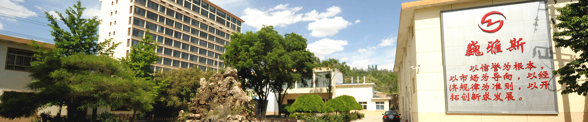 巍雅斯開創(chuàng)于1976年，47年來，在黨的改革開放政策指引下，始終堅(jiān)持“以信譽(yù)為根本、以市場為導(dǎo)向、以經(jīng)濟(jì)規(guī)律為準(zhǔn)則、以開拓創(chuàng)新求發(fā)展”，與甘肅、寧夏、青海、陜西、西藏、內(nèi)蒙等六省區(qū)80多家大型零售商場建立了長期友好的合作關(guān)系。