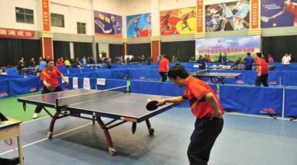  “巍雅斯.甘肅種業(yè)”2012全省農(nóng)牧業(yè)局長杯乒乓球賽圓滿結(jié)束